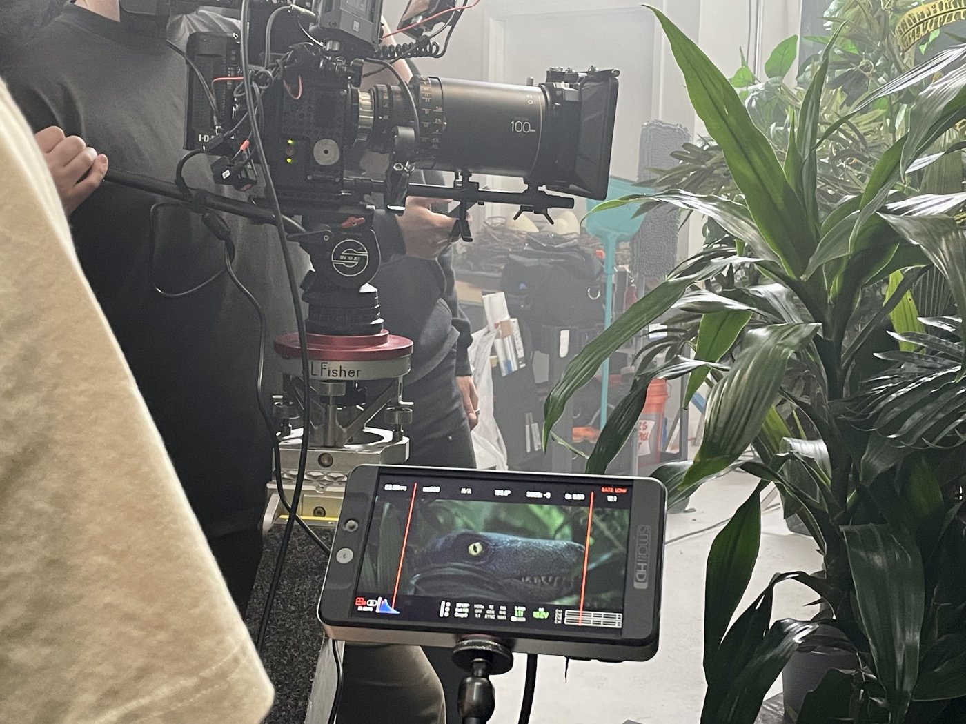 Monitor and camera setup